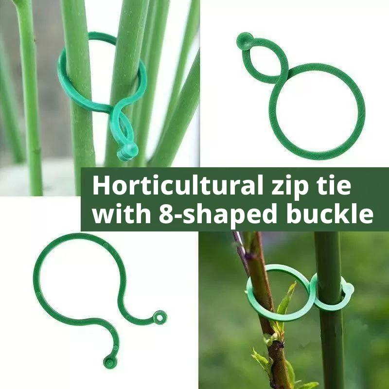 100個入り 植物サポートクリップ 頑丈な園芸用クリップ ト - Vine Climbing Plastic のレビューと価格