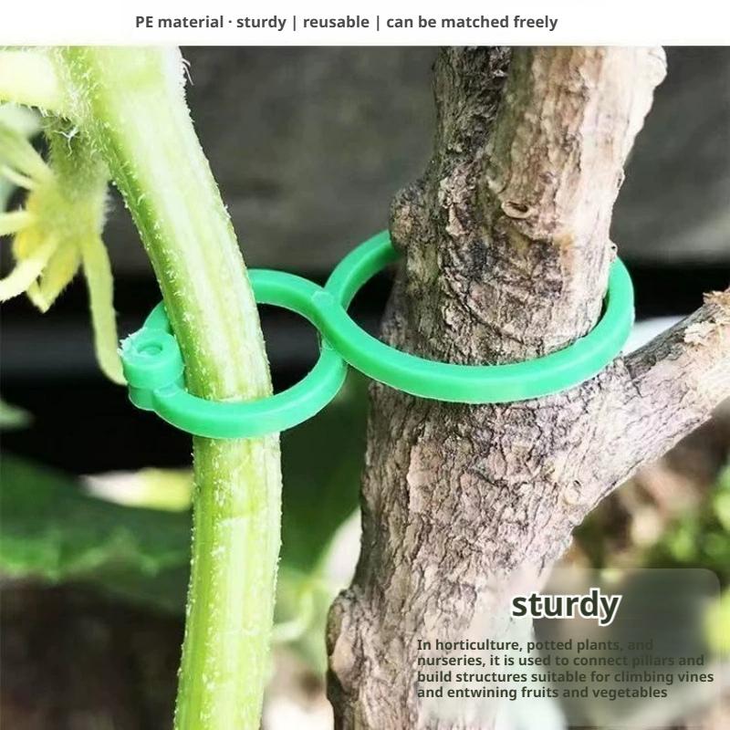 100個入り 植物サポートクリップ 頑丈な園芸用クリップ ト - Vine Climbing Plastic のレビューと価格