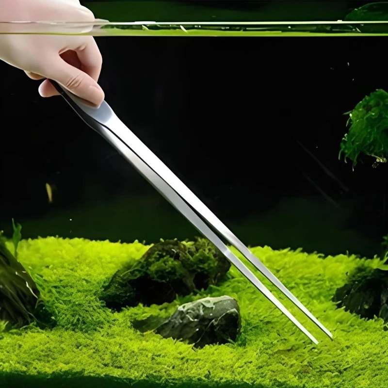 ステンレス鋼製水槽用ピンセットプライヤー、魚タンクプラントア - Feeding Tong Stainless のレビューと価格