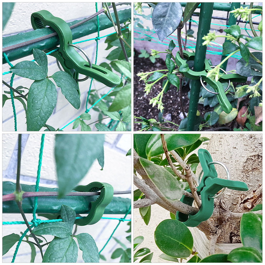 60個入り プラスチック製 植物支柱クリップ、ガーデン用トレ - Vine Climbing Plastic のレビューと価格